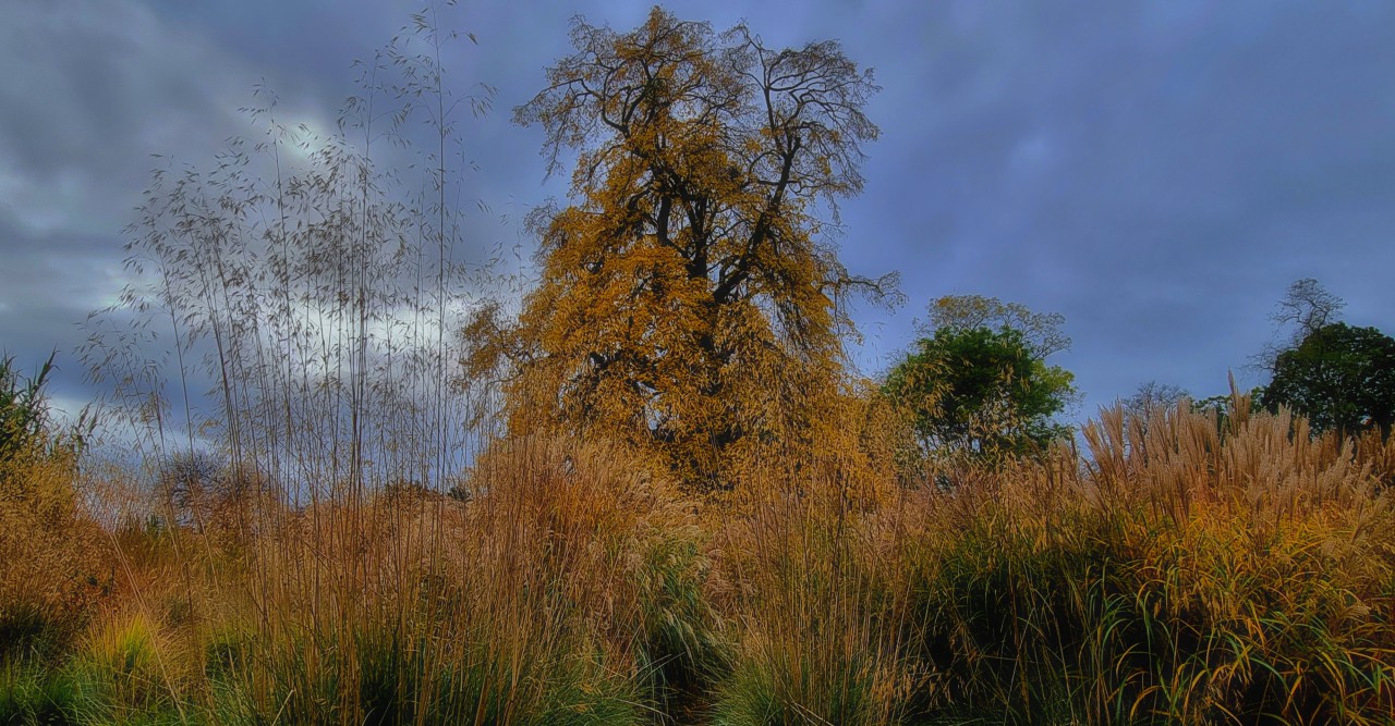 শ্রাবণধারায় -- জাকিয়া রহমান