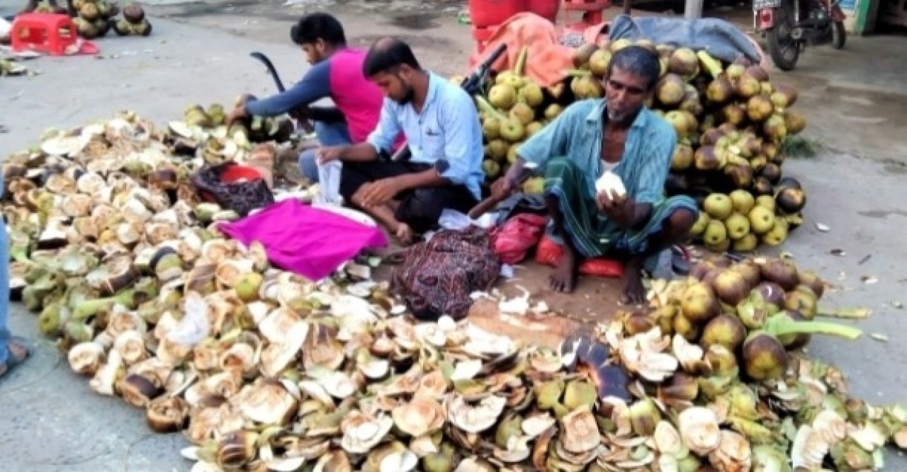 পাবনায় তালশাঁসের দাম বেশি হলেও বেড়েছে কদর