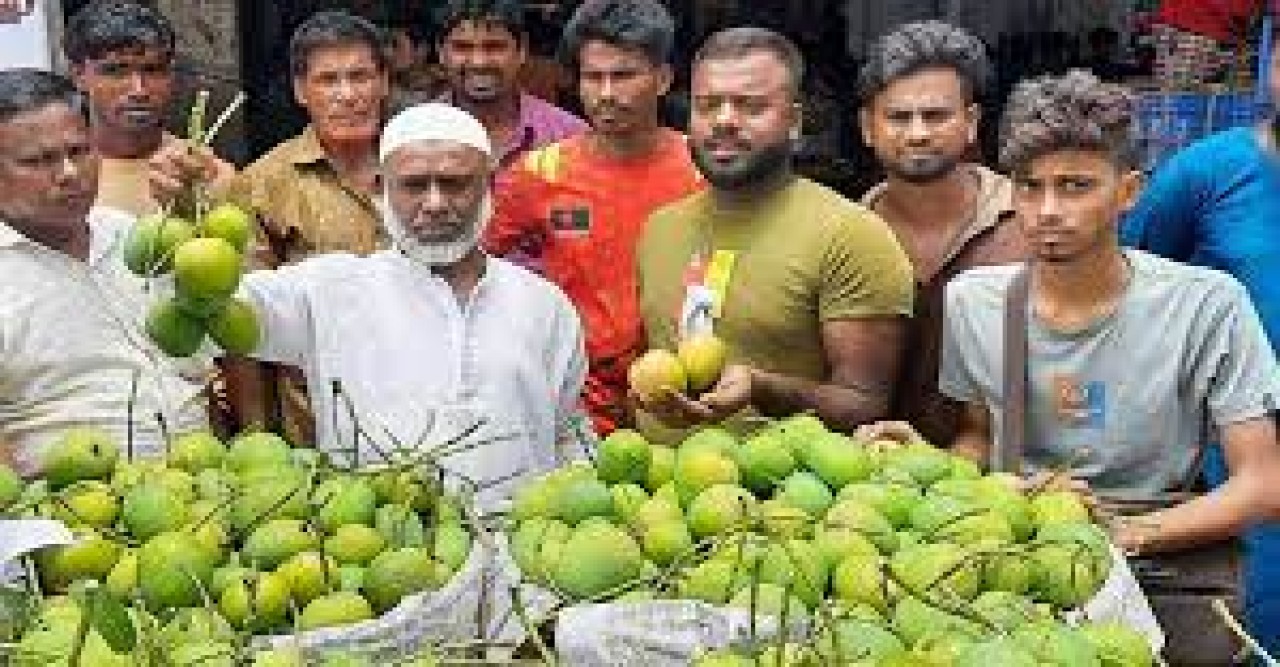 ইউরোপে যাবে সাতক্ষীরার আম