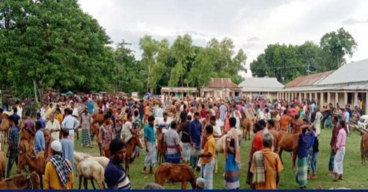 দেশের ‘সবচেয়ে বড়’ ঘোড়ার হাট বসে জামালপুরে