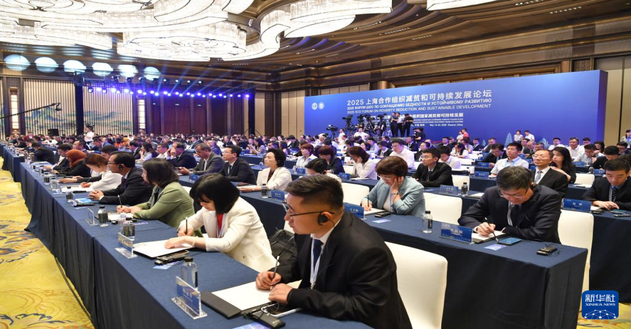 চীন ‘টেকসই উন্নয়ন বর্ষ’ থিমের অধীনে ধারাবাহিক কার্যক্রম আয়োজন করেছে : মাও নিং