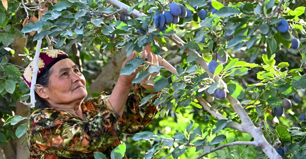 হাজার হাজার মাইলজুড়ে অভিন্ন সমৃদ্ধির চর্চা