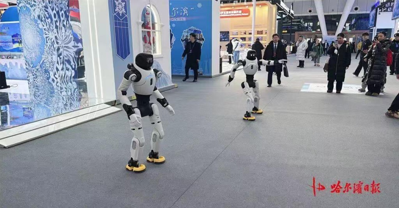 হারবিনে বরফ-তুষার অর্থনীতির প্রদর্শনী শুরু