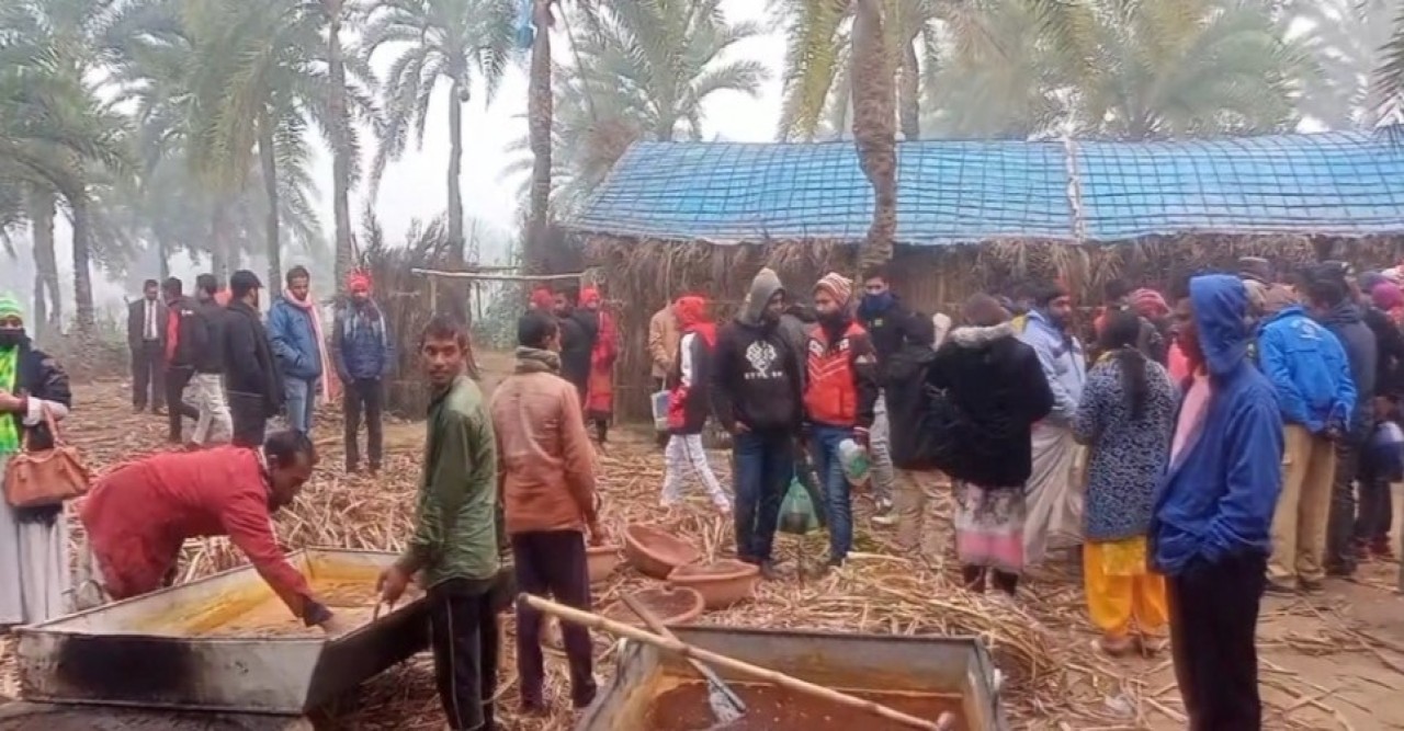 ঠাকুরগাঁওয়ে খেঁজুর গাছের রস থেকে বাগানেই তৈরি করা হচ্ছে সুস্বাদু গুড়