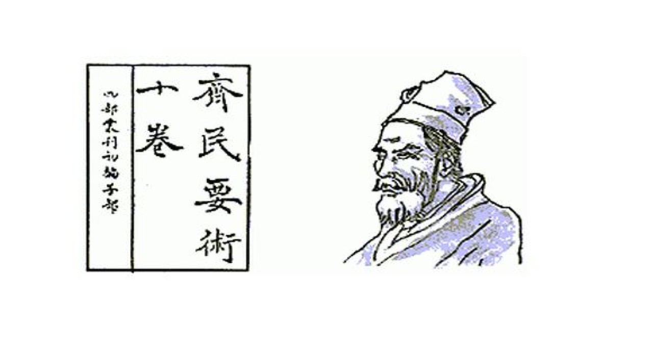 চীনা কৃষি সভ্যতার উৎস "ছি মিন ইয়াও শু"