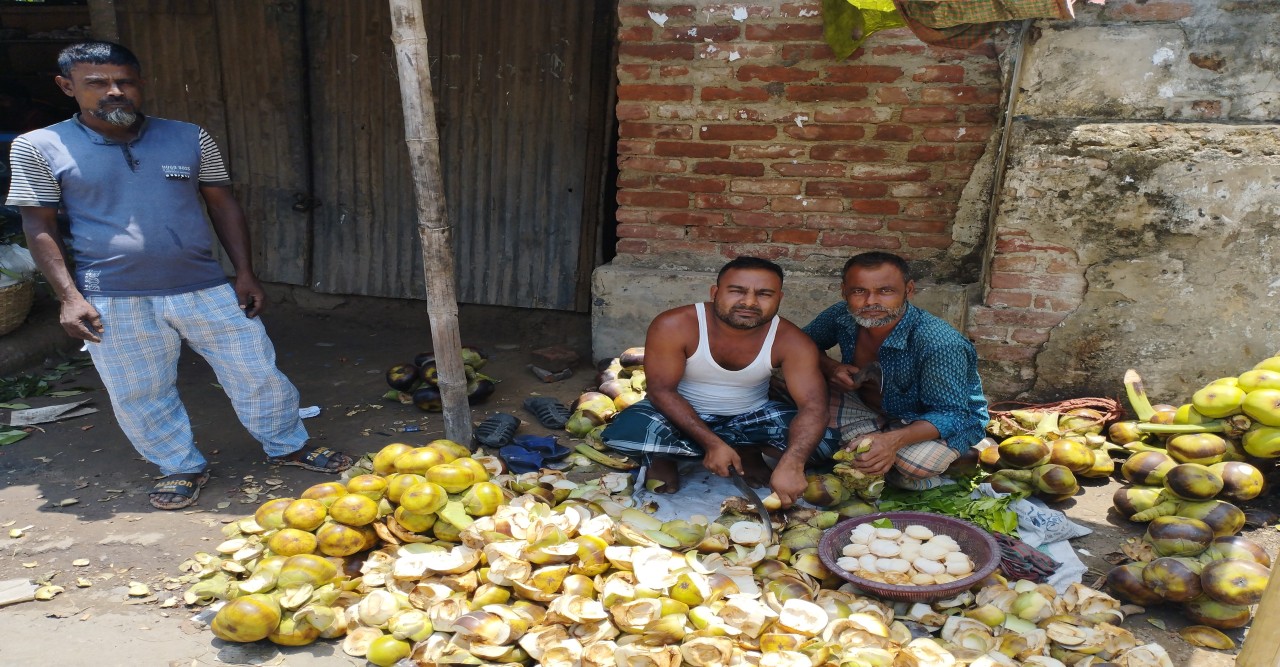 প্রচন্ড তাপদাহে আদমদীঘির ছাতিয়ানগ্রামে তাল শাঁসের কদর বেড়েছে
