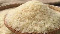 সিন্ডিকেটের কারণে বগুড়ায় চালের দাম বাড়তি