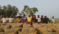 মালয়েশিয়ায় সহ সংযুক্ত আরব আমিরাত যাচ্ছে বগুড়ার আদমদিঘী উপজেলার, ছাতিয়ানগ্রাম ইউনিয়নের নিমাইদিঘী গ্রামের আলু