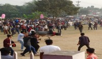 শ্রীপঞ্চমী গরুর দৌড়, দড়ি ছেঁড়া ও লড়াই ও মেলা