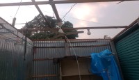 ঢাকার নবাবগঞ্জ উপজেলায় চুড়াইনের ওপর দিয়ে কালবৈশাখী ঝড়