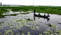 আদমদীঘির রক্তদহ বিল ইতিহাস ও ঐতিহ্যের সাক্ষী এখন বিলুপ্তির পথে