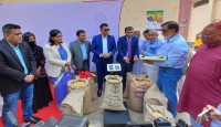 বগুড়ায় আমন মৌসুমের ধান-চাল সংগ্রহ শুরু