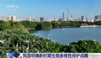 নতুন পরিকল্পনায় চীনের জীববৈচিত্র্যের   ক্ষতিগ্রস্ত পরিবেশ পুনরুদ্ধারের উদ্যোগ