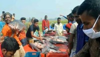 বগুড়ায় দুদিনব্যাপী জামাই মেলা: বড় মাছ কেনার লড়াইয়ে জামাই-শ্বশুর!