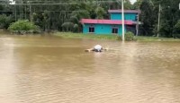 লাশ ভাসছে কলাগাছের ভেলায়