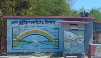 জীবননগরের ডুমুরিয়া সরকারি প্রাথমিক বিদ্যালয়ে চুরি