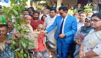 বগুড়া জেলা প্রশাসক সদর উপজেলার বিভিন্ন উন্নয়ন পরিদর্শন