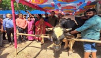 বগুড়া জেলার,আদমদীঘিতে প্রাণিসম্পদ প্রদর্শনী-২০২৪ অনুষ্ঠিত হয়েছে