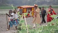 বিলুপ্তির পথে ঐতিহ্যবাহী বাহন পালকি