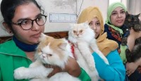 বগুড়ায় পোষা প্রাণীর প্রদর্শনী!