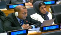 Bangladesh’s flagship Resolution on Natural Plant Fibres adopted unanimously at the UN