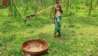 পিঁপড়ার ডিম বিক্রি করে ১৬ বছর ধরে সংসার চালাচ্ছেন সিদ্দিক