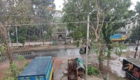 ২৩ দিনের টানা তাপদাহের পর নামল বৃষ্টি চুয়াডাঙ্গায়
