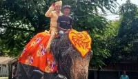 হাতির পিঠে চড়ে বিয়ে করতে এলেন বর
