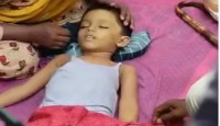 আদমদীঘিতে নানির বাড়িতে খেলার সময় সাপের কামড়ে শিশুর মৃত্যু
