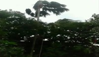 রাজধানীতে ৭৪ কিলোমিটার বেগে কালবৈশাখীর আঘাত