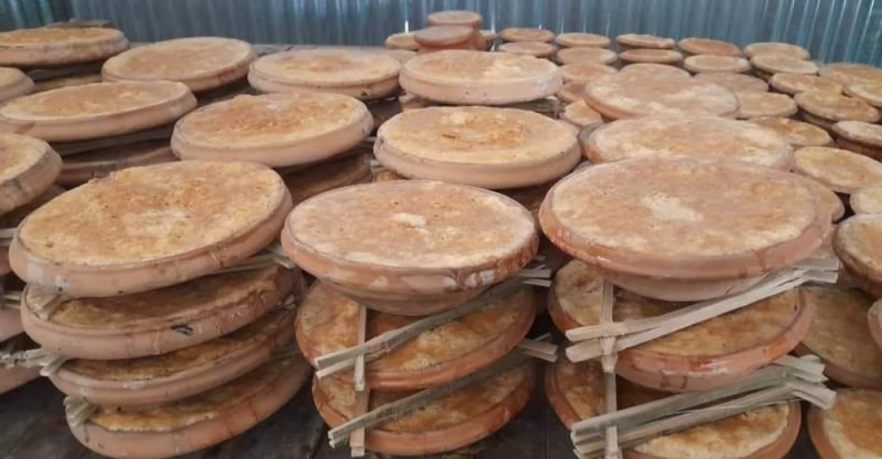 জিআই পণ্যের মর্যাদা পেল বগুড়ার দই