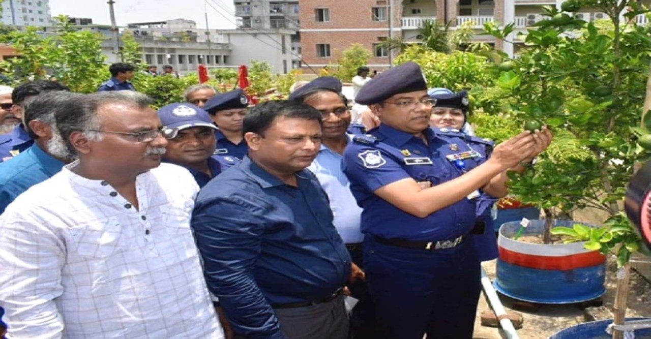 বগুড়া পুলিশ সুপার কার্যালয়ে ছাদবাগান: শোভা ছড়াচ্ছে সাড়ে ৩'শ গাছ