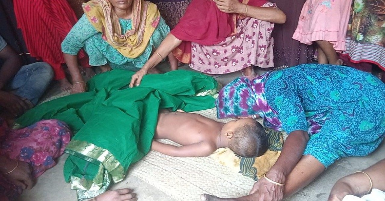 জীবননগরে পাওয়ার টিলারের ধাক্কায় শিশুর মৃত্যু