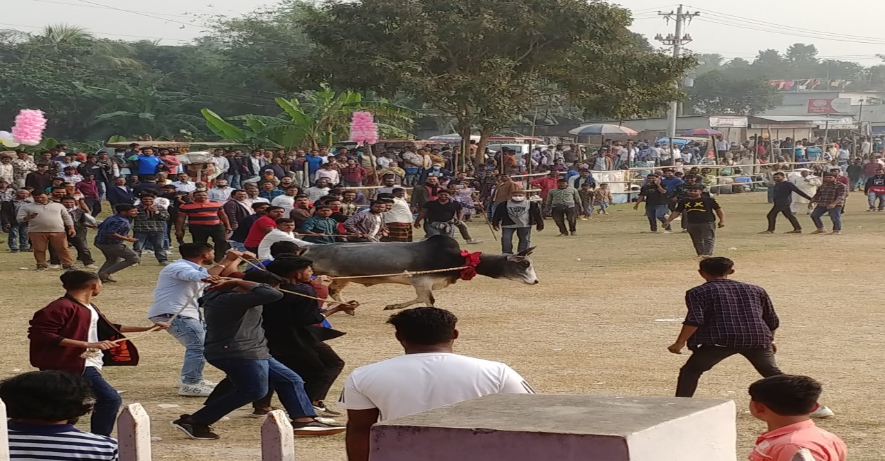 শ্রীপঞ্চমী গরুর দৌড়, দড়ি ছেঁড়া ও লড়াই ও মেলা