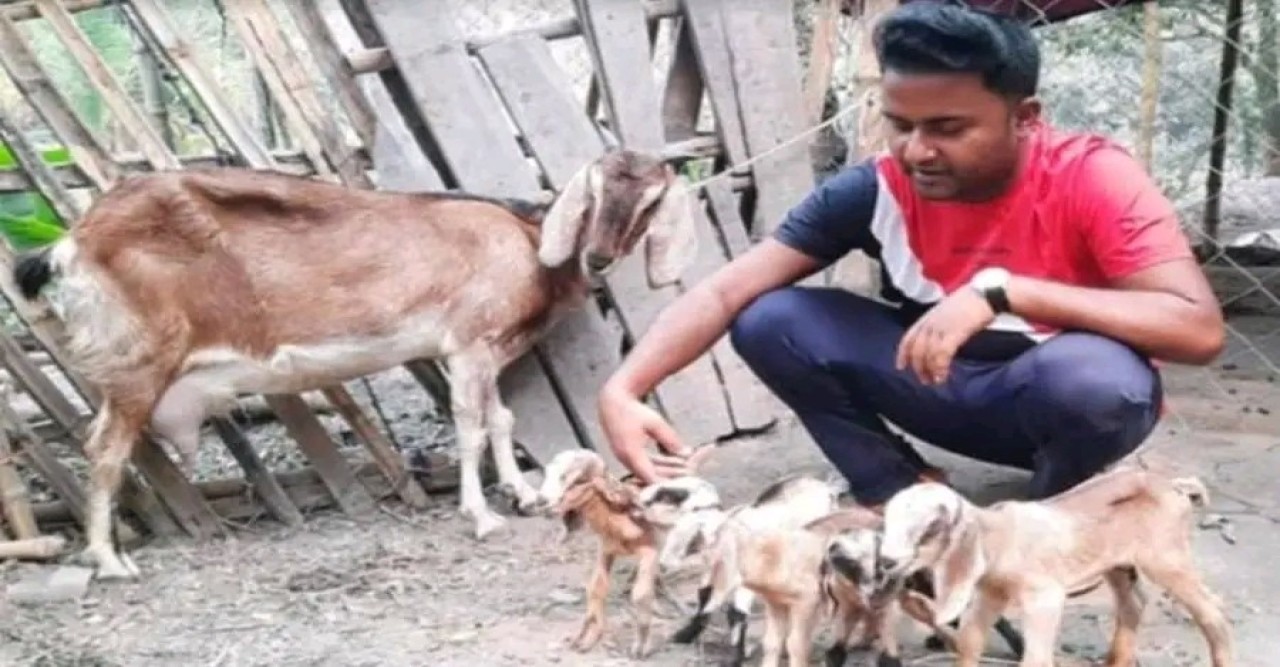 আদমদীঘিতে এক ছাগলের ৫ বাচ্চা প্রসব