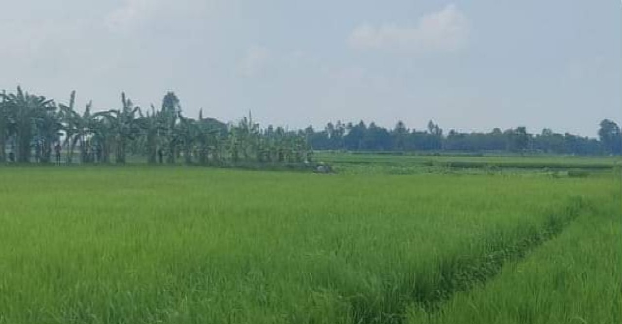 জয়পুরহাটে সীমান্তে কাঁটাতারের বেড়া নির্মাণের চেষ্টা বিএসএফের, বিজিবির বাধা