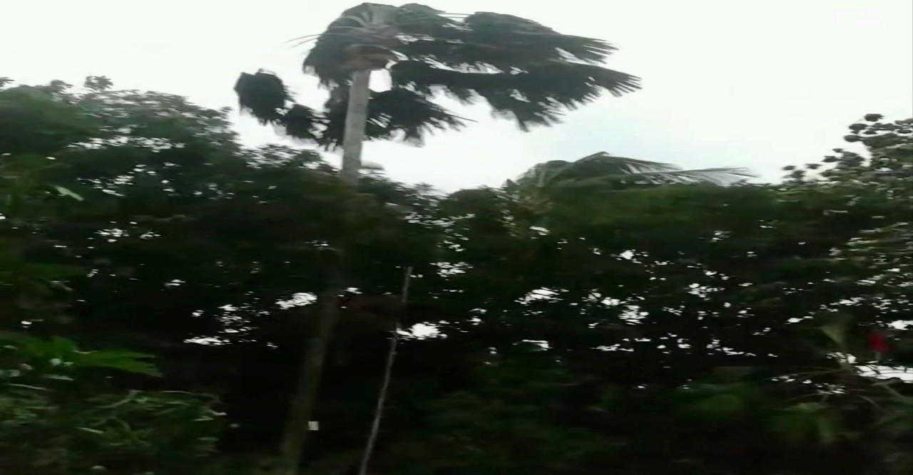 রাজধানীতে ৭৪ কিলোমিটার বেগে কালবৈশাখীর আঘাত