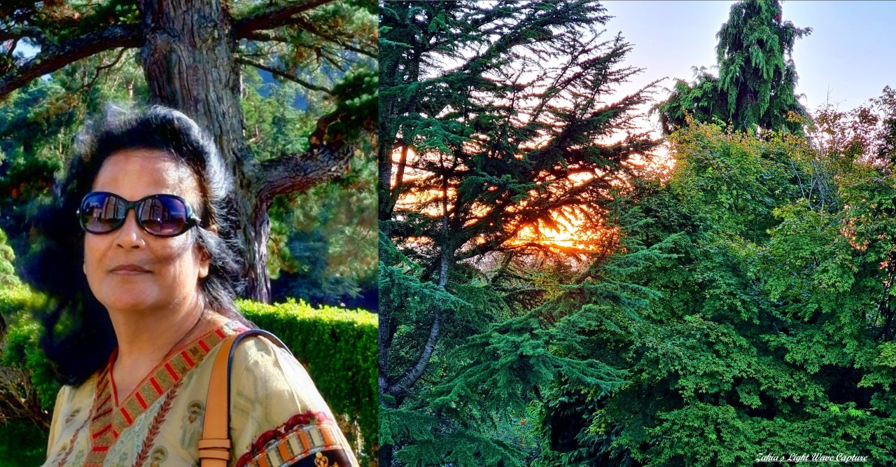 কবিতা কেন লিখি  - জাকিয়া রহমান